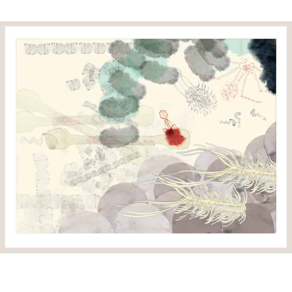 Skytsengle · Virus, bakterie, arkæer, svamp 50 x 60 cm · signeret print uden ramme 